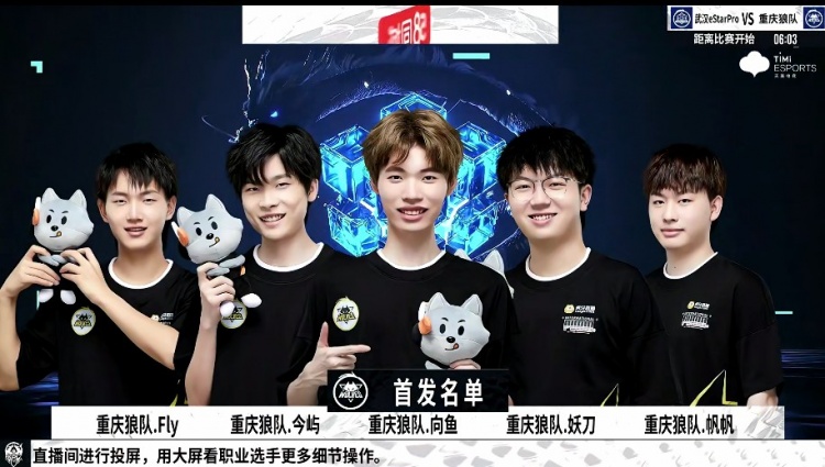 多资本与合