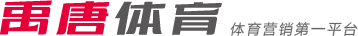 某甲级联赛
